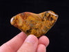 PIETERSITE Tumbled Crystal - Tigers Eye, Self Care, Healing Crystals and Stones, Metaphysical, 45825-Throwin Stones