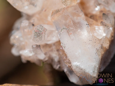 Pink HIMALAYAN QUARTZ Raw Crystal Cluster w CHLORITE - Quartz Cluster, Home Decor, Raw Crystals and Stones, 39921-Throwin Stones