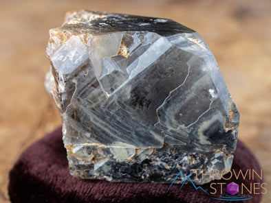 QUARTZ Raw Crystal w Riebeckite, Rutile, Aegernine - Housewarming Gift, Home Decor, Raw Crystals and Stones, 41877-Throwin Stones