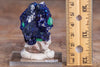 Raw AZURITE Crystal Cluster - Raw Rocks and Minerals, Home Decor, Unique Gift, 39082-Throwin Stones