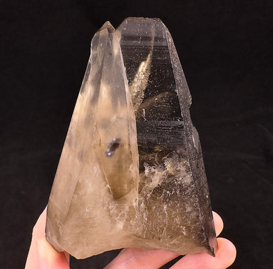 Raw WITCHES FINGER LEMURIAN Quartz Crystal Twin - Raw Rocks and Minerals, Home Decor, Unique Gift, 53332-Throwin Stones
