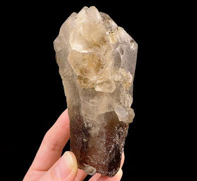 Raw WITCHES FINGER QUARTZ Crystal - Raw Rocks and Minerals, Home Decor, Unique Gift, 53268-Throwin Stones