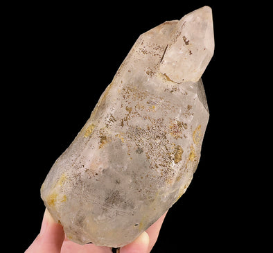 Raw WITCHES FINGER QUARTZ Crystal - Raw Rocks and Minerals, Home Decor, Unique Gift, 53288-Throwin Stones