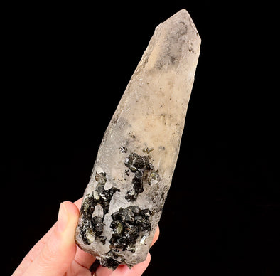Raw WITCHES FINGER QUARTZ Crystal - Raw Rocks and Minerals, Home Decor, Unique Gift, 53314-Throwin Stones