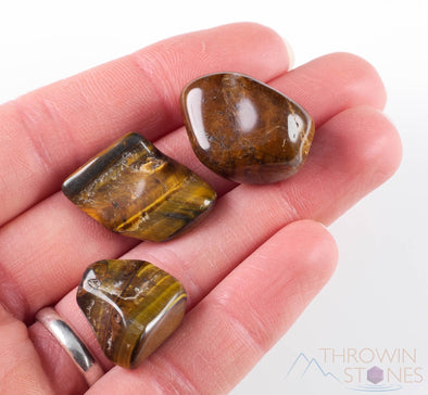 TIGERS EYE Tumbled Stones - Tumbled Crystals, Self Care, Healing Crystals and Stones, E0437-Throwin Stones