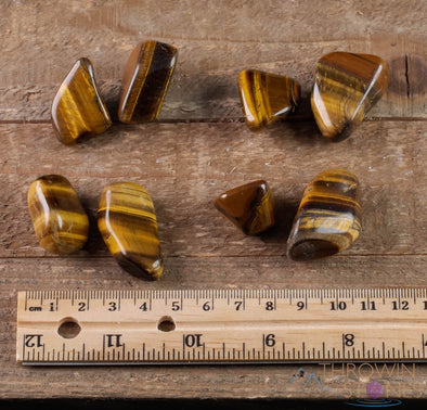 TIGERS EYE Tumbled Stones - Tumbled Crystals, Self Care, Healing Crystals and Stones, E0558-Throwin Stones
