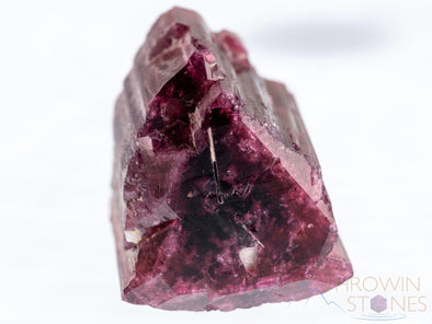 TOURMALINE Raw Crystal - Red Liddicoatite - Birthstone, Gemstones, Wire Wrap, Jewelry Making, Raw Crystals and Stones, 39355-Throwin Stones
