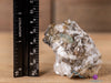 Tabular APATITE on ALBITE w MUSCOVITE Raw Crystal Cluster - Housewarming Gift, Home Decor, Raw Crystals and Stones, 40656-Throwin Stones