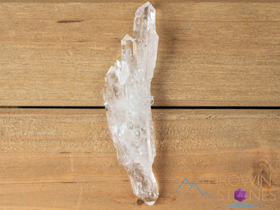 Tabular COOKEITE in Clear QUARTZ Raw Crystal - Housewarming Gift, Home Decor, Raw Crystals and Stones, 40826-Throwin Stones