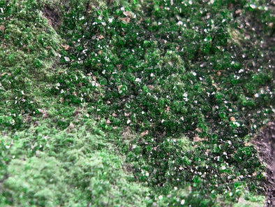 UVAROVITE Raw Crystal Cluster Druzy - Rare Calcium Chromium Green Garnet Stone - Home Decor, Raw Crystals and Stones, 51652-Throwin Stones