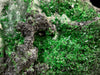 UVAROVITE Raw Crystal Cluster Druzy - Rare Calcium Chromium Green Garnet Stone - Home Decor, Raw Crystals and Stones, 51677-Throwin Stones