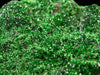UVAROVITE Raw Crystal Cluster Druzy - Rare Calcium Chromium Green Garnet Stone - Home Decor, Raw Crystals and Stones, 51681-Throwin Stones