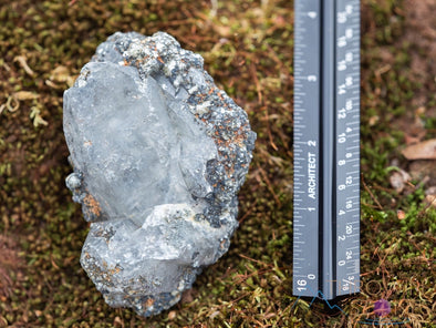 WITCHES FINGER QUARTZ Raw Crystal Point - Housewarming Gift, Home Decor, Raw Crystals and Stones, 39887-Throwin Stones