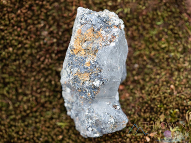 WITCHES FINGER QUARTZ Raw Crystal Point - Housewarming Gift, Home Decor, Raw Crystals and Stones, 39887-Throwin Stones