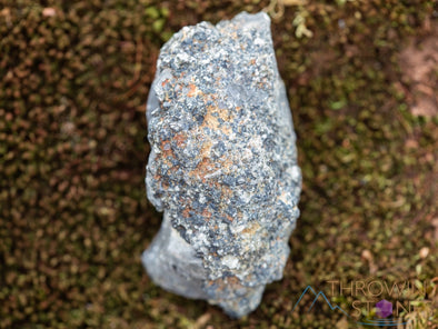 WITCHES FINGER QUARTZ Raw Crystal Point - Housewarming Gift, Home Decor, Raw Crystals and Stones, 39887-Throwin Stones