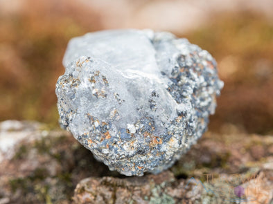 WITCHES FINGER QUARTZ Raw Crystal Point - Housewarming Gift, Home Decor, Raw Crystals and Stones, 39887-Throwin Stones