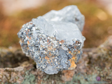 WITCHES FINGER QUARTZ Raw Crystal Point - Housewarming Gift, Home Decor, Raw Crystals and Stones, 39887-Throwin Stones