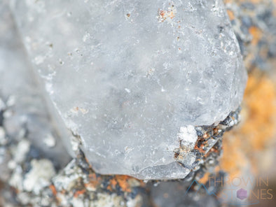 WITCHES FINGER QUARTZ Raw Crystal Point - Housewarming Gift, Home Decor, Raw Crystals and Stones, 39887-Throwin Stones