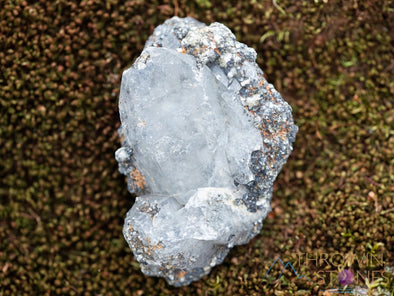 WITCHES FINGER QUARTZ Raw Crystal Point - Housewarming Gift, Home Decor, Raw Crystals and Stones, 39887-Throwin Stones