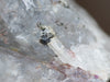 WITCHES FINGER QUARTZ Raw Crystal Point - Housewarming Gift, Home Decor, Raw Crystals and Stones, 39896-Throwin Stones