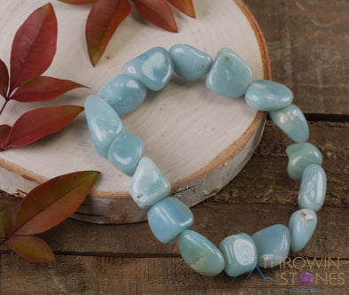AMAZONITE Crystal Bracelet - Tumbled Beads - Beaded Bracelet, Handmade Jewelry, Healing Crystal Bracelet, E0369-Throwin Stones