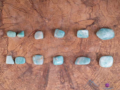 AMAZONITE Tumbled Stones - Tumbled Crystals, Self Care, Healing Crystals and Stones, E0963-Throwin Stones