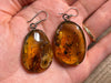 AMBER Crystal Earrings - Statement Earrings, Dangle Earrings, Handmade Jewelry, Healing Crystals and Stones, 48407-Throwin Stones
