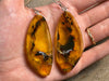 AMBER Crystal Earrings - Statement Earrings, Dangle Earrings, Handmade Jewelry, Healing Crystals and Stones, 48409-Throwin Stones