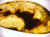 AMBER Crystal Earrings - Statement Earrings, Dangle Earrings, Handmade Jewelry, Healing Crystals and Stones, 48409-Throwin Stones