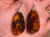 AMBER Crystal Earrings - Statement Earrings, Dangle Earrings, Handmade Jewelry, Healing Crystals and Stones, 48425-Throwin Stones