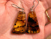 AMBER Crystal Earrings - Statement Earrings, Dangle Earrings, Handmade Jewelry, Healing Crystals and Stones, 50337-Throwin Stones