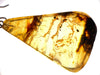AMBER Crystal Earrings - Statement Earrings, Dangle Earrings, Handmade Jewelry, Healing Crystals and Stones, 50366-Throwin Stones