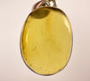 AMBER Pendant - AAA, Sterling Silver - Crystal Pendant, Fine Jewelry, Healing Crystals and Stones, 53432-Throwin Stones