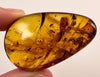 AMBER Stone - Insect Inclusion, Real Fossil - Tumbled Stones, Tumbled Crystals, Healing Crystals and Stones, 52713-Throwin Stones