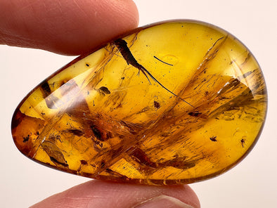 AMBER Stone - Insect Inclusion, Real Fossil - Tumbled Stones, Tumbled Crystals, Healing Crystals and Stones, 52713-Throwin Stones