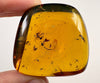 AMBER Stone - Insect Inclusion, Real Fossil - Tumbled Stones, Tumbled Crystals, Healing Crystals and Stones, 52718-Throwin Stones