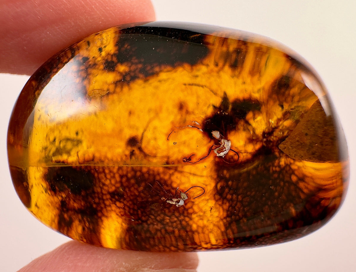 AMBER Stone - Insect Inclusion, Real Fossil - Tumbled Stones, Tumbled ...