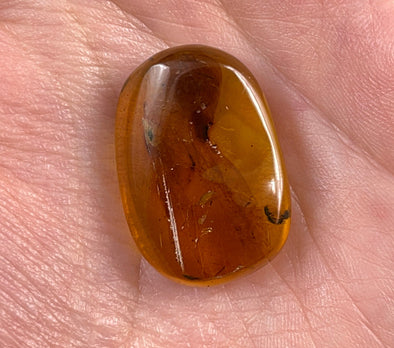 AMBER Stone - Insect Inclusion, Real Fossil - Tumbled Stones, Tumbled Crystals, Healing Crystals and Stones, 52750-Throwin Stones