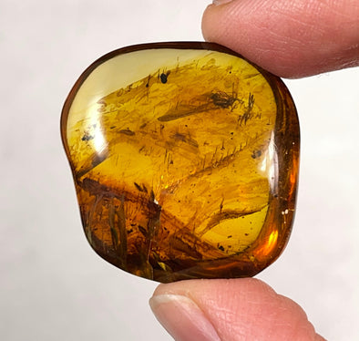 AMBER Stone - Insect Inclusion, Real Fossil - Tumbled Stones, Tumbled Crystals, Healing Crystals and Stones, 52755-Throwin Stones