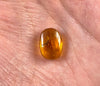 AMBER Stone - Insect Inclusion, Real Fossil - Tumbled Stones, Tumbled Crystals, Healing Crystals and Stones, 52761-Throwin Stones