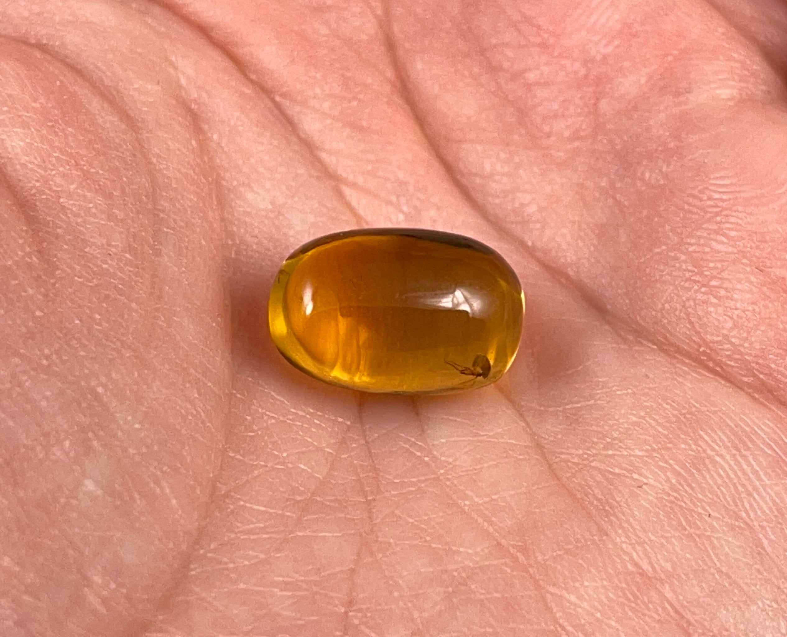 Amber Oil | Manifestation & Healing