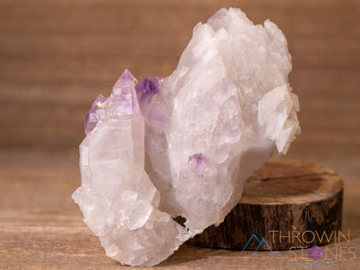 AMETHYST Raw Crystal - Birthstone, Unique Gift, Home Decor, Boho Decor, 40447-Throwin Stones