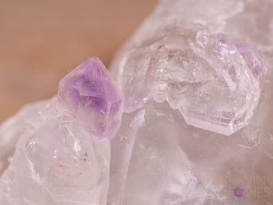 AMETHYST Raw Crystal - Birthstone, Unique Gift, Home Decor, Boho Decor, 40448-Throwin Stones