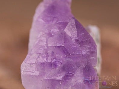 AMETHYST Raw Crystal - Birthstone, Unique Gift, Home Decor, Boho Decor, 40450-Throwin Stones