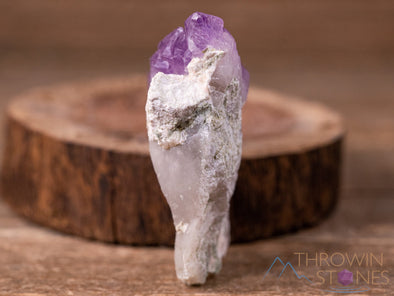AMETHYST Raw Crystal - Birthstone, Unique Gift, Home Decor, Boho Decor, 40450-Throwin Stones
