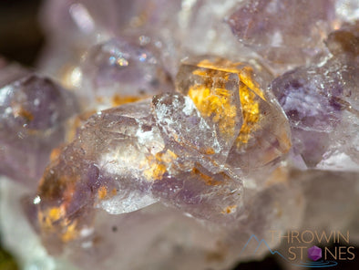 AMETHYST Raw Crystal Cluster - Birthstone, Unique Gift, Home Decor, Boho Decor, 39937-Throwin Stones