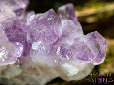 AMETHYST Raw Crystal Cluster - Birthstone, Unique Gift, Home Decor, Boho Decor, 39939-Throwin Stones