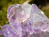 AMETHYST Raw Crystal Cluster - Birthstone, Unique Gift, Home Decor, Boho Decor, 39941-Throwin Stones