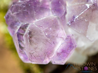 AMETHYST Raw Crystal Cluster - Birthstone, Unique Gift, Home Decor, Boho Decor, 39941-Throwin Stones