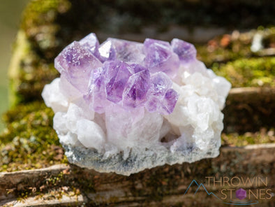 AMETHYST Raw Crystal Cluster - Birthstone, Unique Gift, Home Decor, Boho Decor, 39942-Throwin Stones